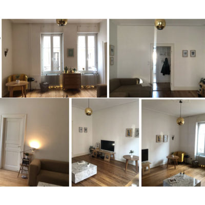 Rénovation de salon spacieux