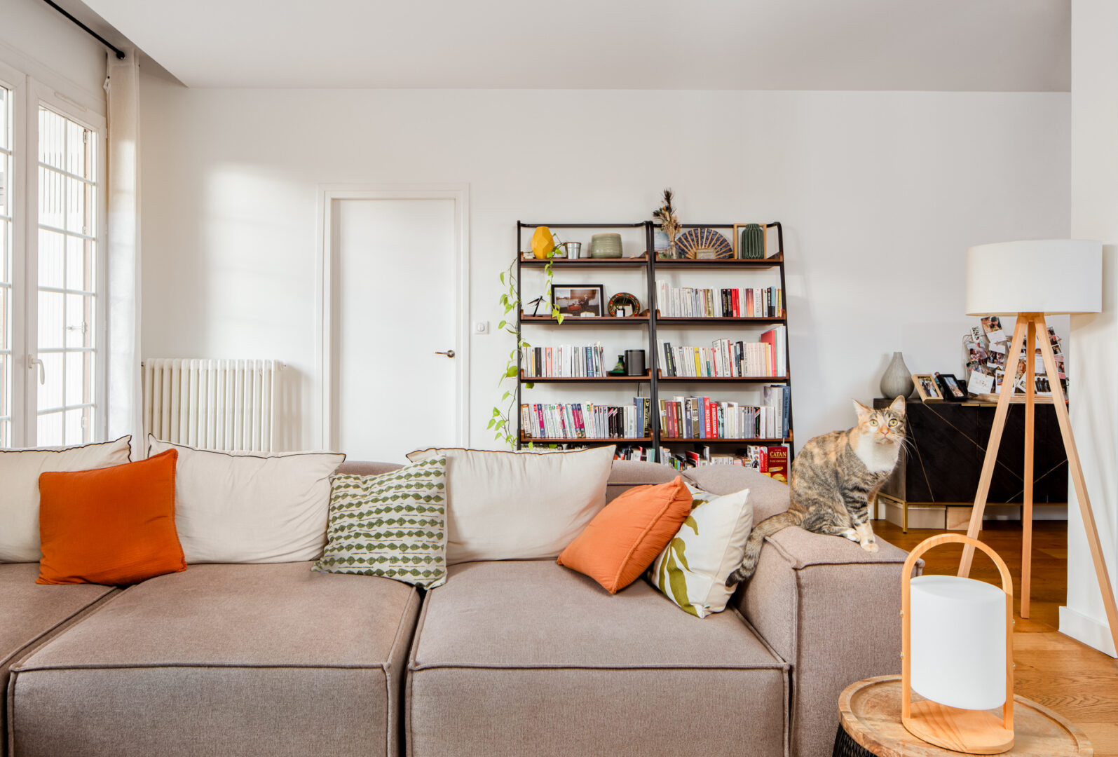 Salon avec différents coussins sur le canapé et étagère