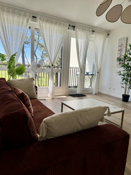 Séjour moderne avec canapé marron, table basse, plantes, et balcon.
