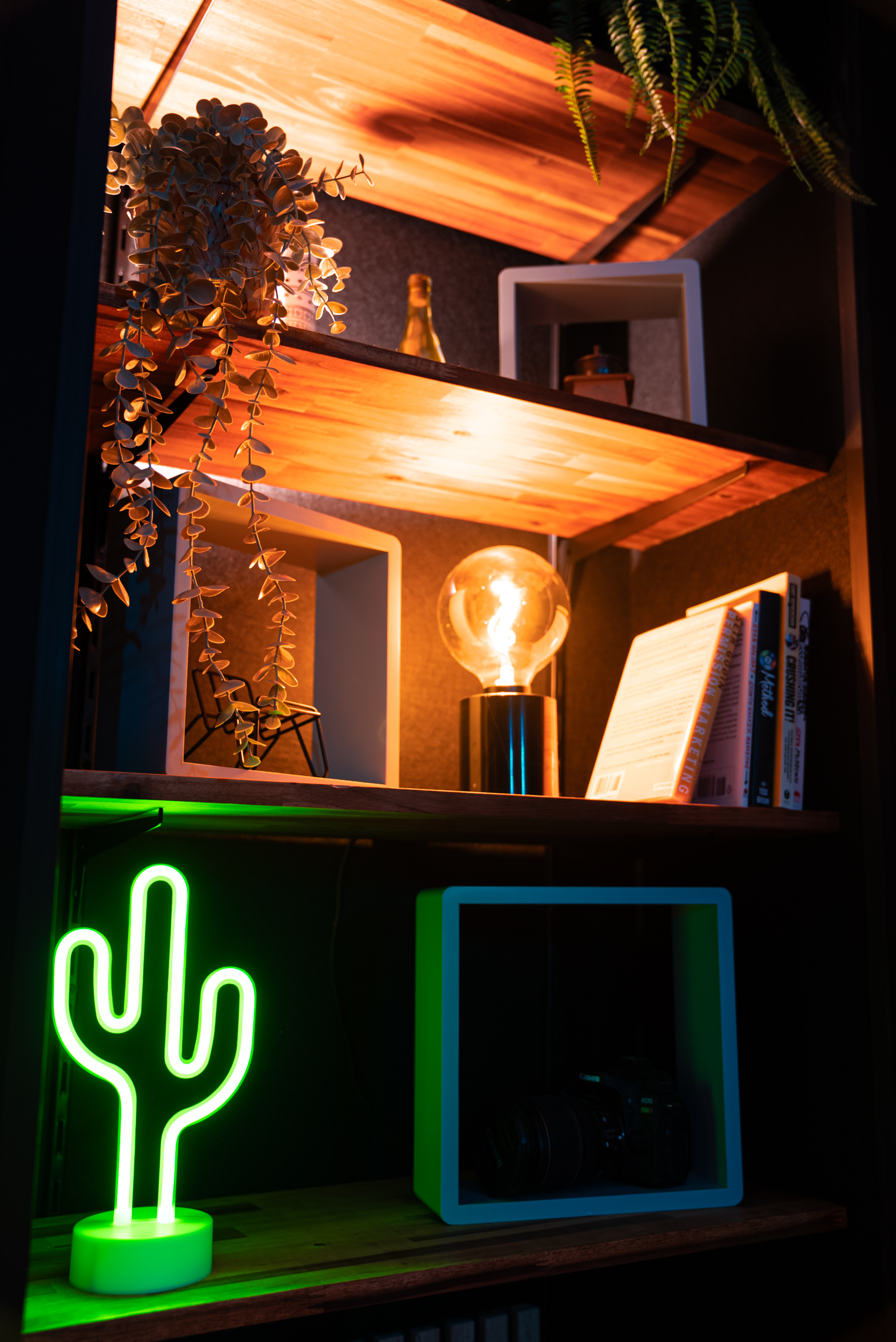 Étagère décorée avec lampe, cactus lumineux, livres, plantes, architecte intérieur toulouse