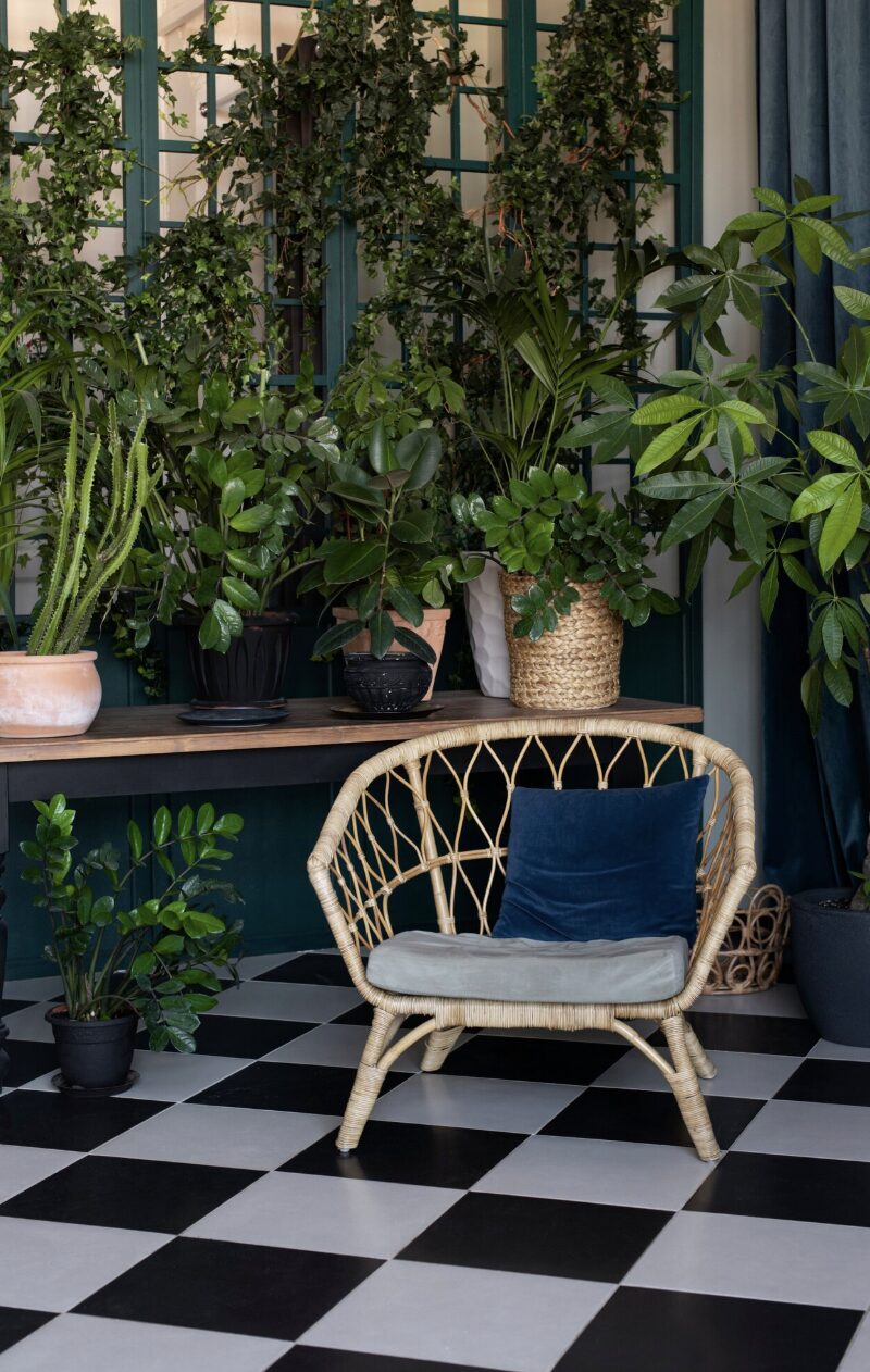 Chair wicker blue cushion plants interior design